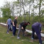 Prepare the Ground Day 2014 
We will find them moles soon!