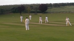 John Healey (76*) and Nick Page (28)  chasing down 182