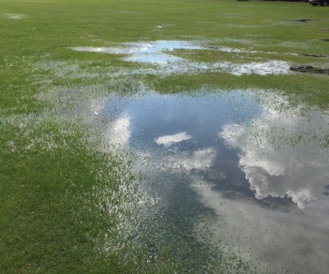 Under water at Chislehurst June 2016
