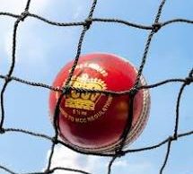 Cricket ball and Net