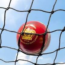 Cricket ball and Net