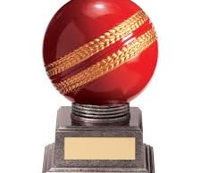 Cricket Trophy